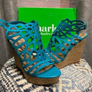 Charles David Apollo